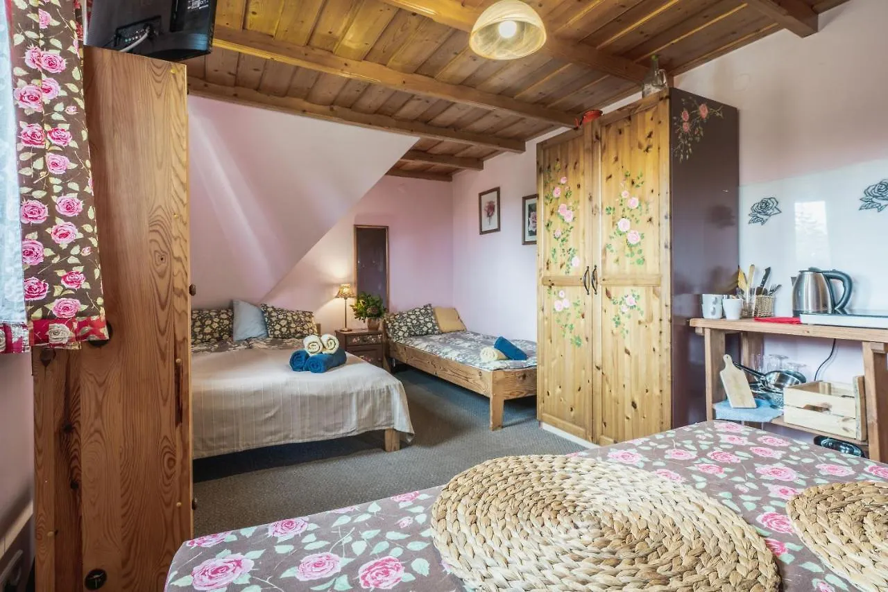 Проживание в семье Nasza Chata - Pokoje I Apartamenty Закопане Польша